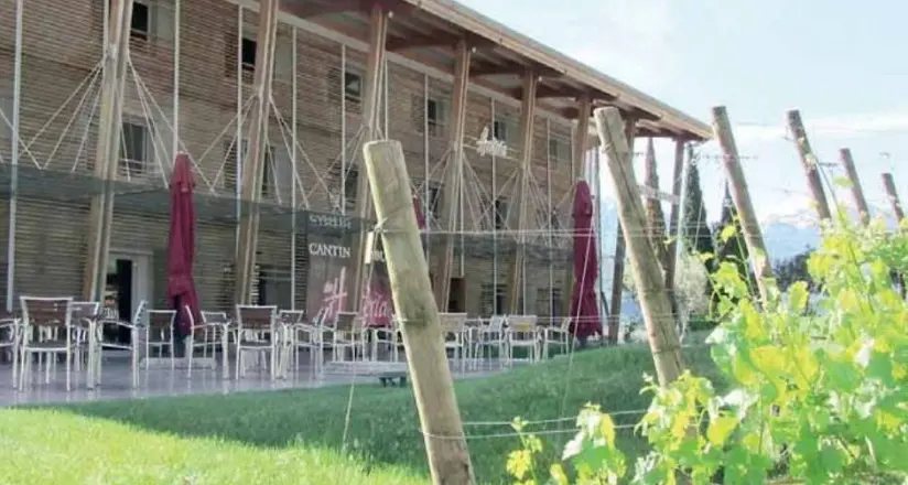 Nuovo terremoto nel mondo vinicolo, la Cantina Toblino perde il direttore: De Biasi ha dato le dimissioni