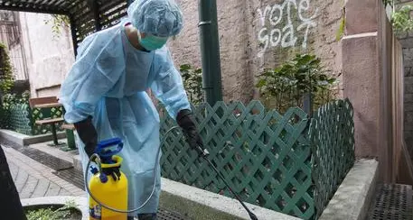 Due casi di Dengue a Trento, disinfestazione contro le zanzare per prevenire il rischio di diffusione della malattia