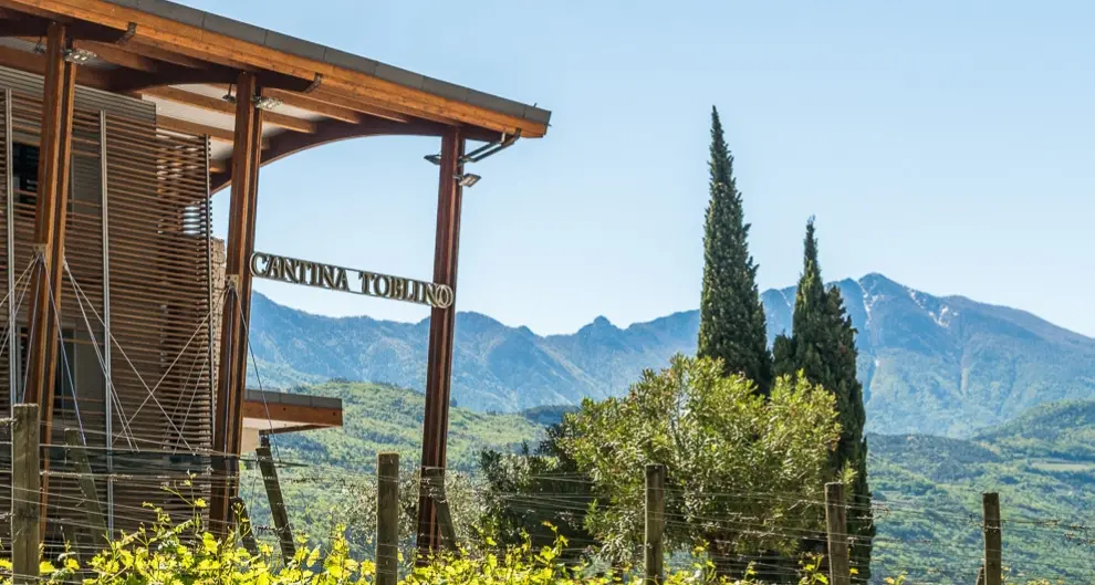 Altro scossone alla Cantina Toblino: dopo il direttore, lasciano anche sette consiglieri