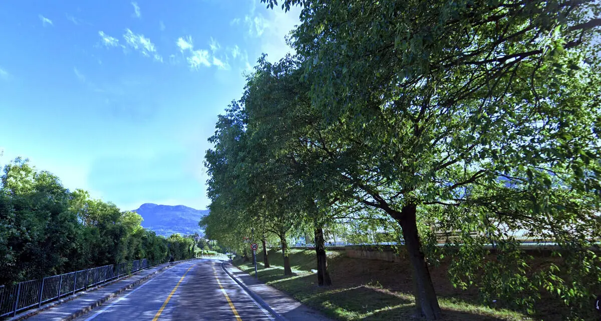 \"La ciclabile Povo-Villazzano si può fare senza abbattere alberi: è sufficiente restringere la carreggiata per le auto\"