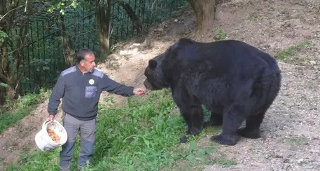 San Romedio: una targa ricorderà Fausto Iob, il custode forestale ucciso tre mesi fa al lago di Santa Giustina