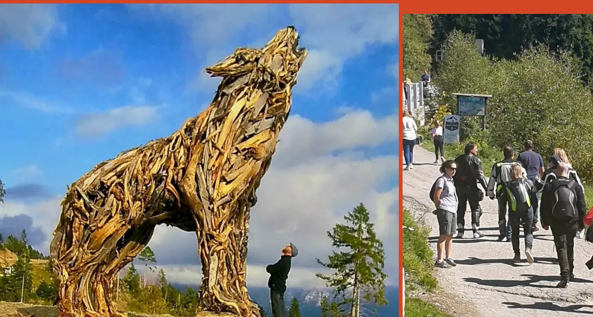 A Vetriolo la gigantesca \"Lupa di Vaia\" è già un'attrazione turistica