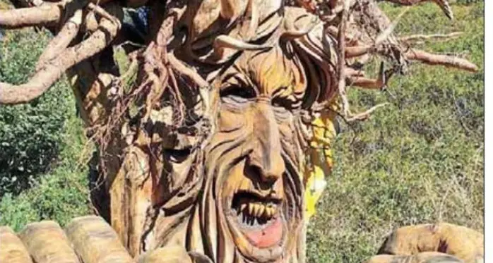 Dopo il drago e la lupa arriva anche il demonio che evoca le devastazioni di Vaia e sospinge la rinascita