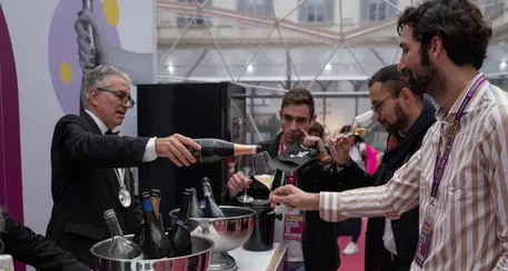 Caro energia, anche il mondo italiano del vino soffre: un miliardo e mezzo di extra costi