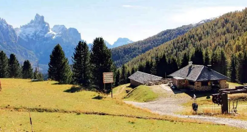 Ordigni bellici (e polemiche) esplodono nel parco Paneveggio-Pale di San Martino, dopo il no di Pomarolo