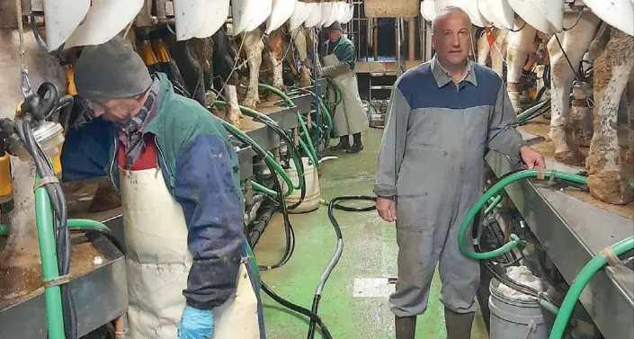 La battaglia degli allevatori trentini: costi enormi, sempre più difficile resistere nelle stalle