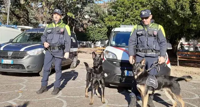 Controlli antidroga a Trento, il nucleo cinofili della polizia locale segnala tre persone