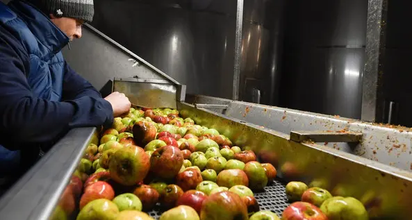 Assomela: leggera ripresa del mercato italiano, rallenta l'export in Europa