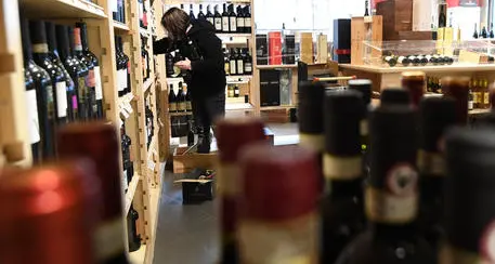 Etichette del vino come sulle sigarette: Italia all'attacco dopo l'ok Ue all'Irlanda