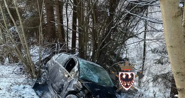 Imer, scendono a controllare le catene ma l'auto scivola lungo il pendio e si schianta