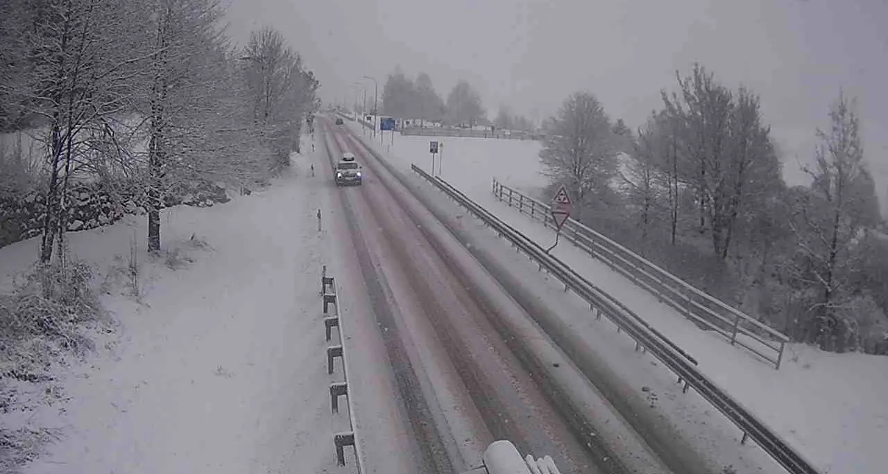 Nevica di nuovo in Trentino, precipitazioni in particolare nell'area orientale della provincia
