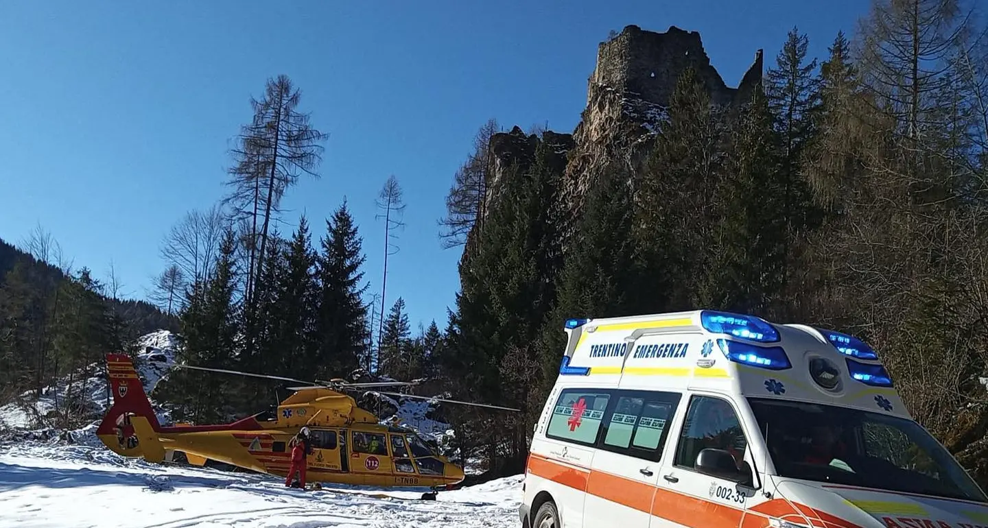 Giovane boscaiolo travolto da un albero a Tonadico: ricoverato in codice rosso