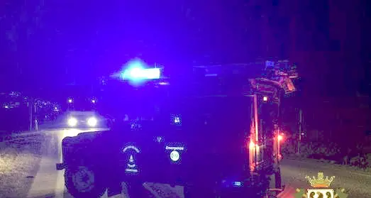 Commezzadura, due cervi investiti sulla strada nella notte