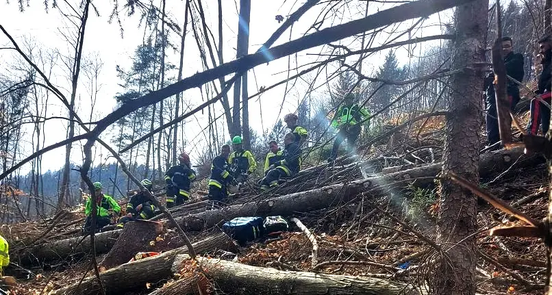 Un uomo di 52 anni travolto e ucciso da un tronco mentre lavorava nel bosco