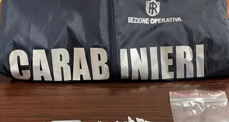 Nel laboratorio dei carabinieri le analisi sulle sostanze sequestrate: «Ci troviamo di tutto, anche escrementi e cemento»