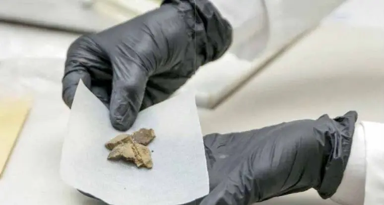 Circolano anche in Trentino sempre più droghe sintetiche, prodotte in laboratorio e molto pericolose