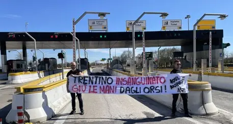 Attivisti al casello dell'A22 in difesa dell'orso MJ5: \"Boicottiamo il Trentino, finché gli animali non saranno rispettati\"