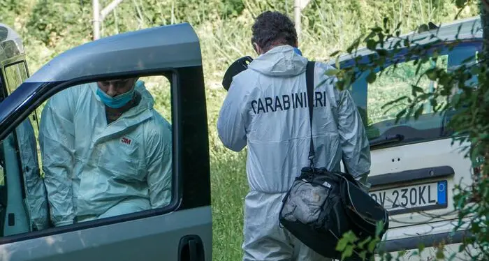 Il giovane ucciso a Caldes, il Wwf: va abbattuto l'orso responsabile dell'aggressione