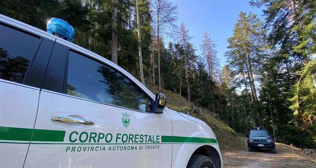 \"Troppi orsi nel nostro territorio, il progetto va ridimensionato\"