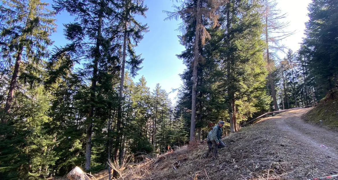 Andrea aggredito dall'orso durante la discesa da malga Grum