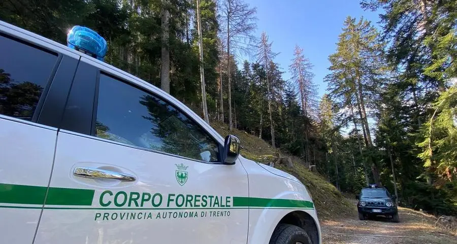 Orsi, l'Oipa critica la Provincia: \"A Caldes tragedia evitabile con regole adeguate\"