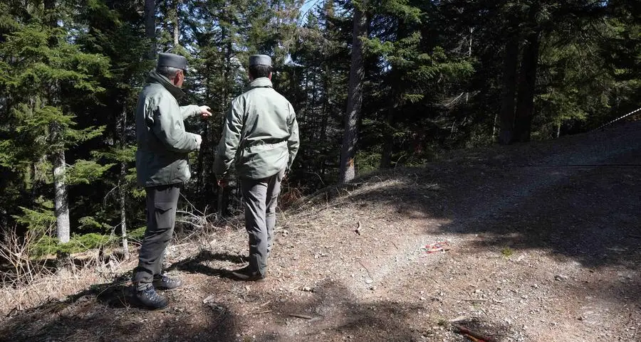 In corso le operazioni di cattura dell'orsa JJ4: utilizzate trappole a tubo, lacci e spara-siringhe