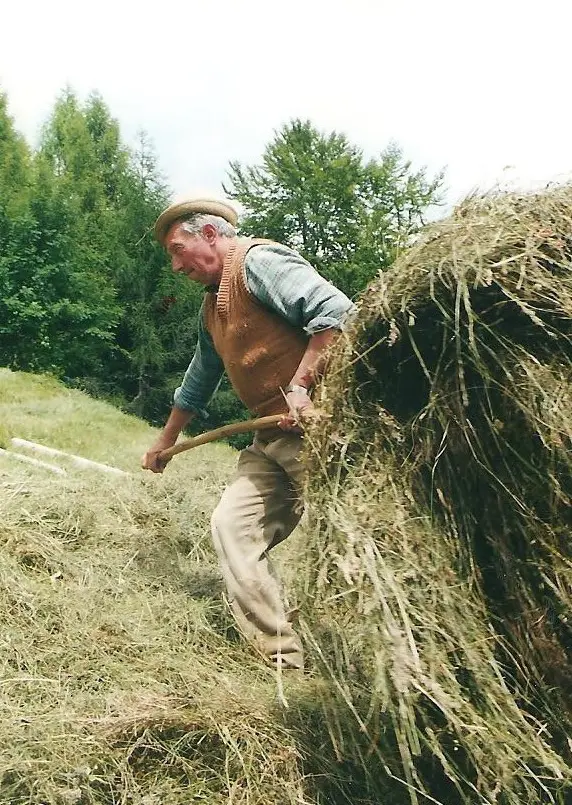 Ritratti di famiglie trentine - Il lavoro_Interni di Montagna_Sezione Beni immaterili METS, Roncegno, fienagione, Pietro Cavagna, 1980