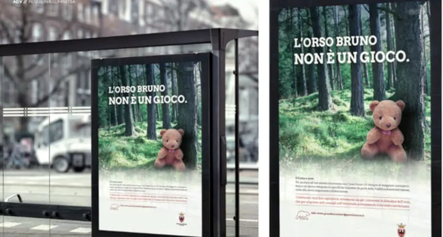 «L'orso non è un gioco», l'idea di una campagna su conoscenza e comportamenti nei boschi