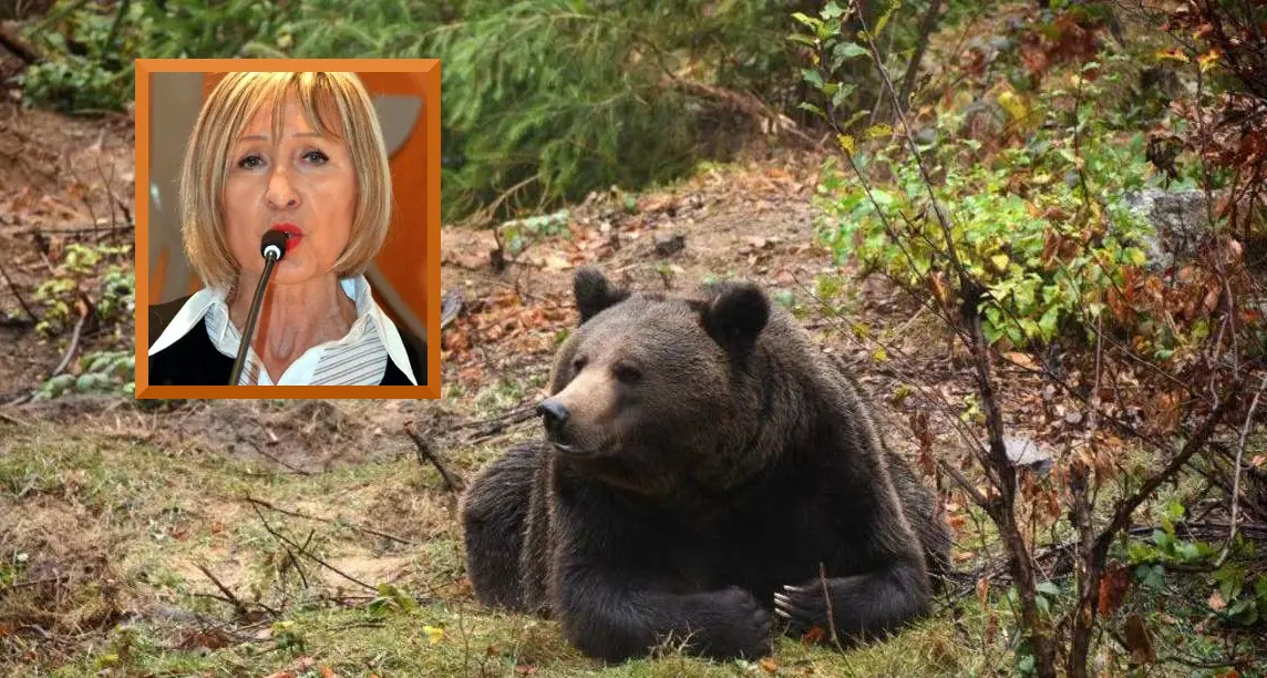 La storia politica di Life Ursus, Iva Berasi: «Il progetto non è stato gestito negli ultimi dieci anni»