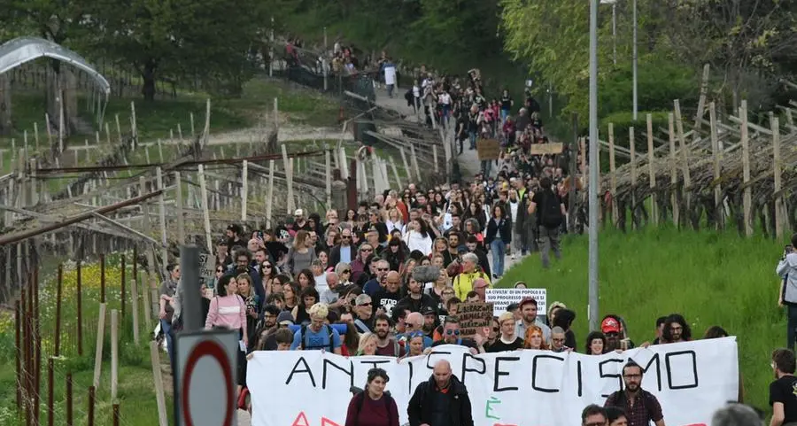 Jj4, altri ricorsi contro l'abbattimento. Enpa: un piano alternativo che prevede anche le sterilizzazioni