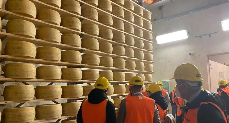 Trentingrana-Concast, fatturato in crescita del 13%, produzione per 67 milioni di euro