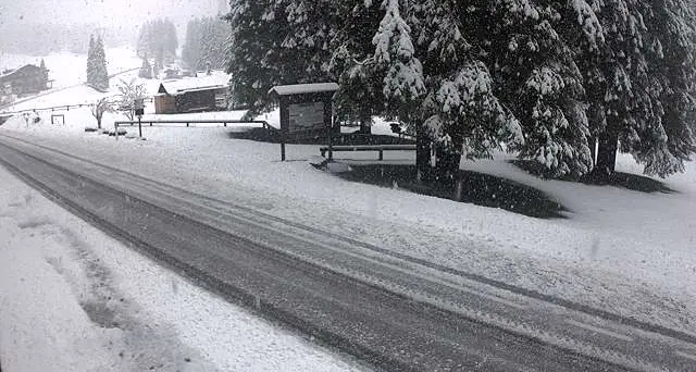 Forti piogge in Trentino, in val di Non chiusure sulla statale 43 per caduta massi. Sui passi dolomitici è tornata la neve