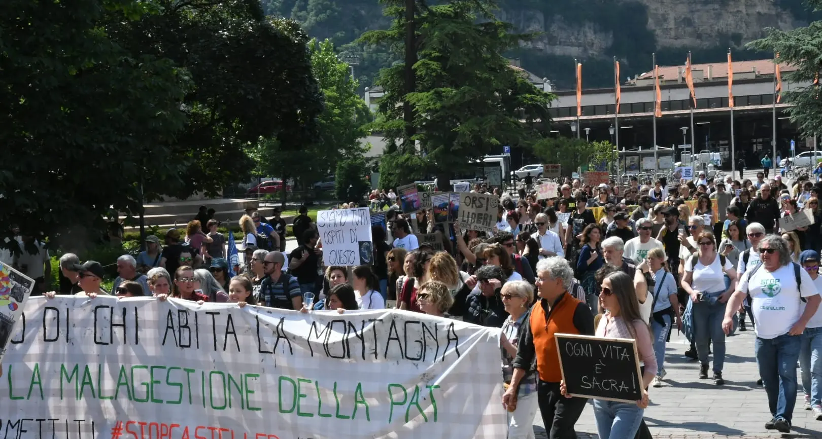 Animalisti di nuovo in piazza a Trento: salviamo gli orsi, la Provincia deve cambiare rotta