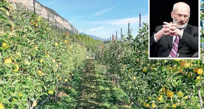 La riduzione dei pesticidi voluta dalla Ue, Dalpiaz (Apot): «No alle imposizioni, prima la sostenibilità delle aziende»
