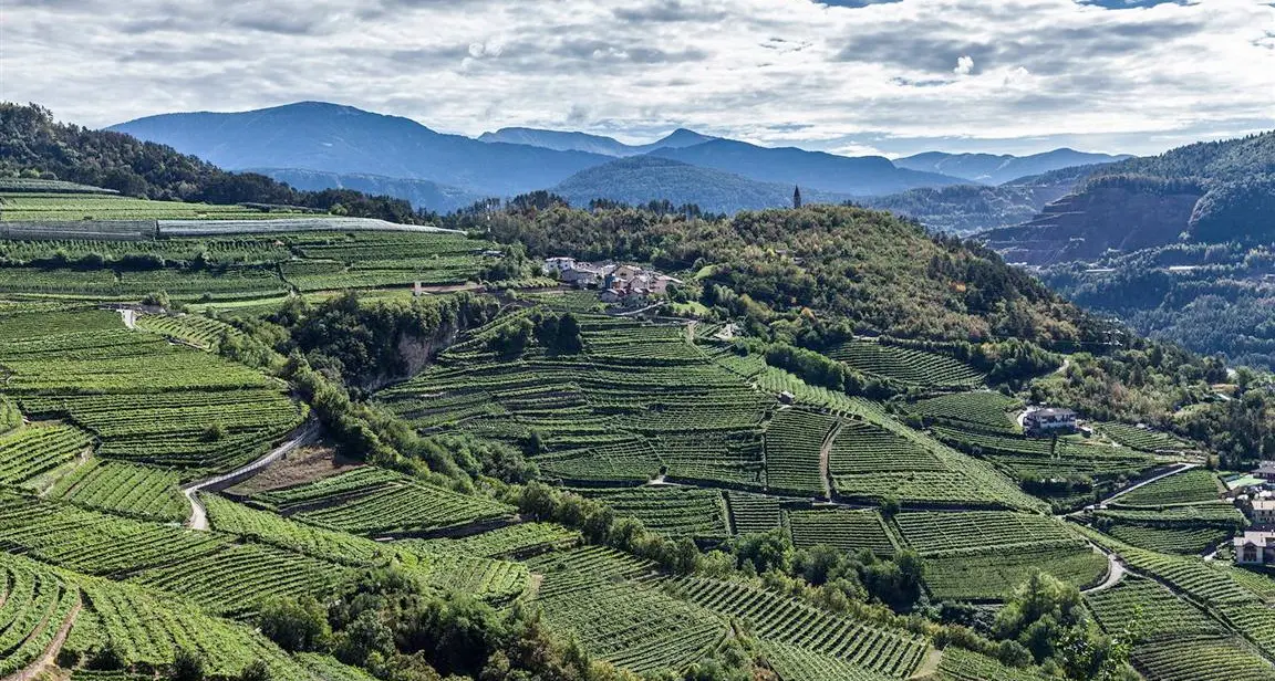 Passione Müller Thurgau, ritornano le giornate del vino di montagna