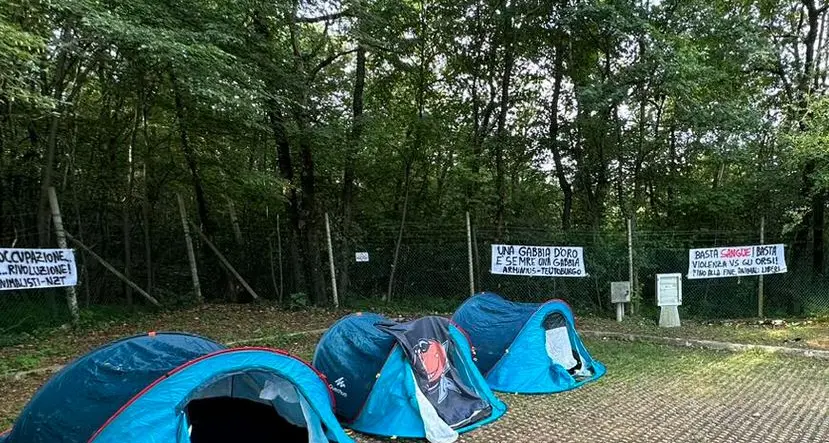 Trasferimento dell'orsa Jj4 in Romania, nuova manifestazione al Casteller