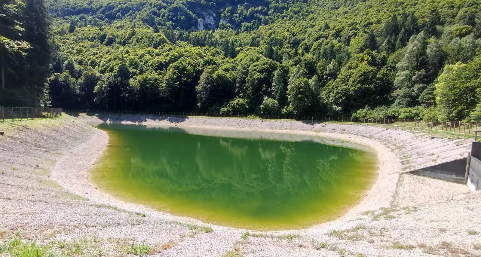 «Malga Mezavia, follia pensare di usare per il bacino idrico il prato di Santa Maria»