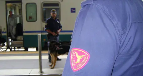 Controlli sui treni in regione e sulle strade di montagna: un arresto, 8 denunce e molte sanzioni