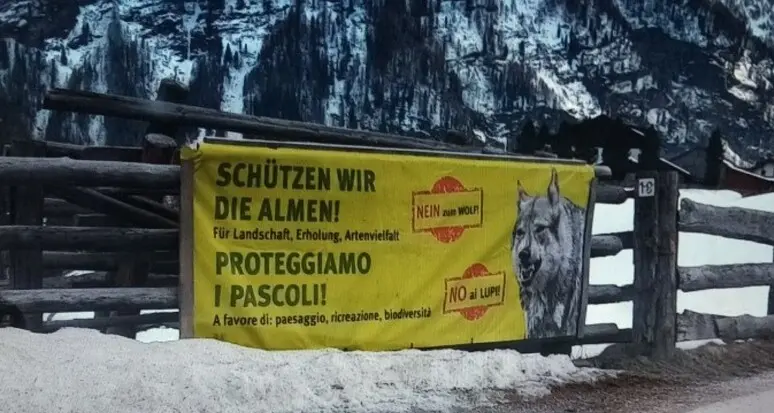 Striscioni anti-lupo lungo le strade: il commissariato del governo valuta sanzioni