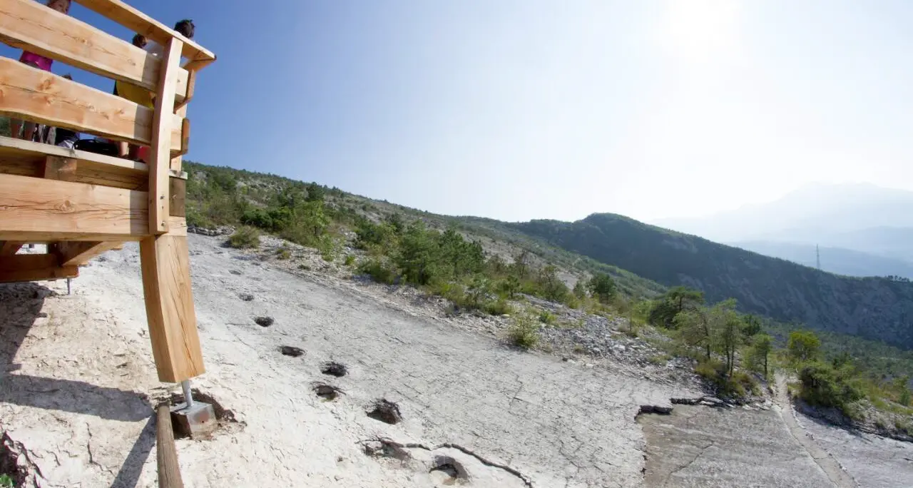 Parco e percorso di visita alle orme dei dinosauri: finalmente il via ai lavori