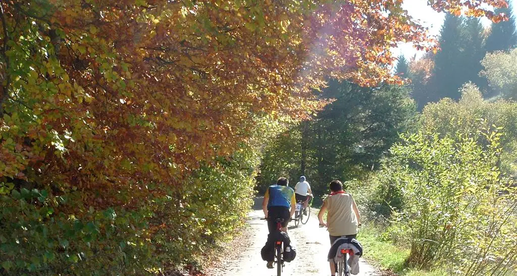 Sarà allargata la strada del passo Bordala: cantiere nella primavera 2024