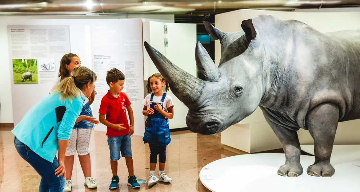 Ritornano le domeniche gratis nei castelli e musei trentini: dal primo ottobre a fine marzo