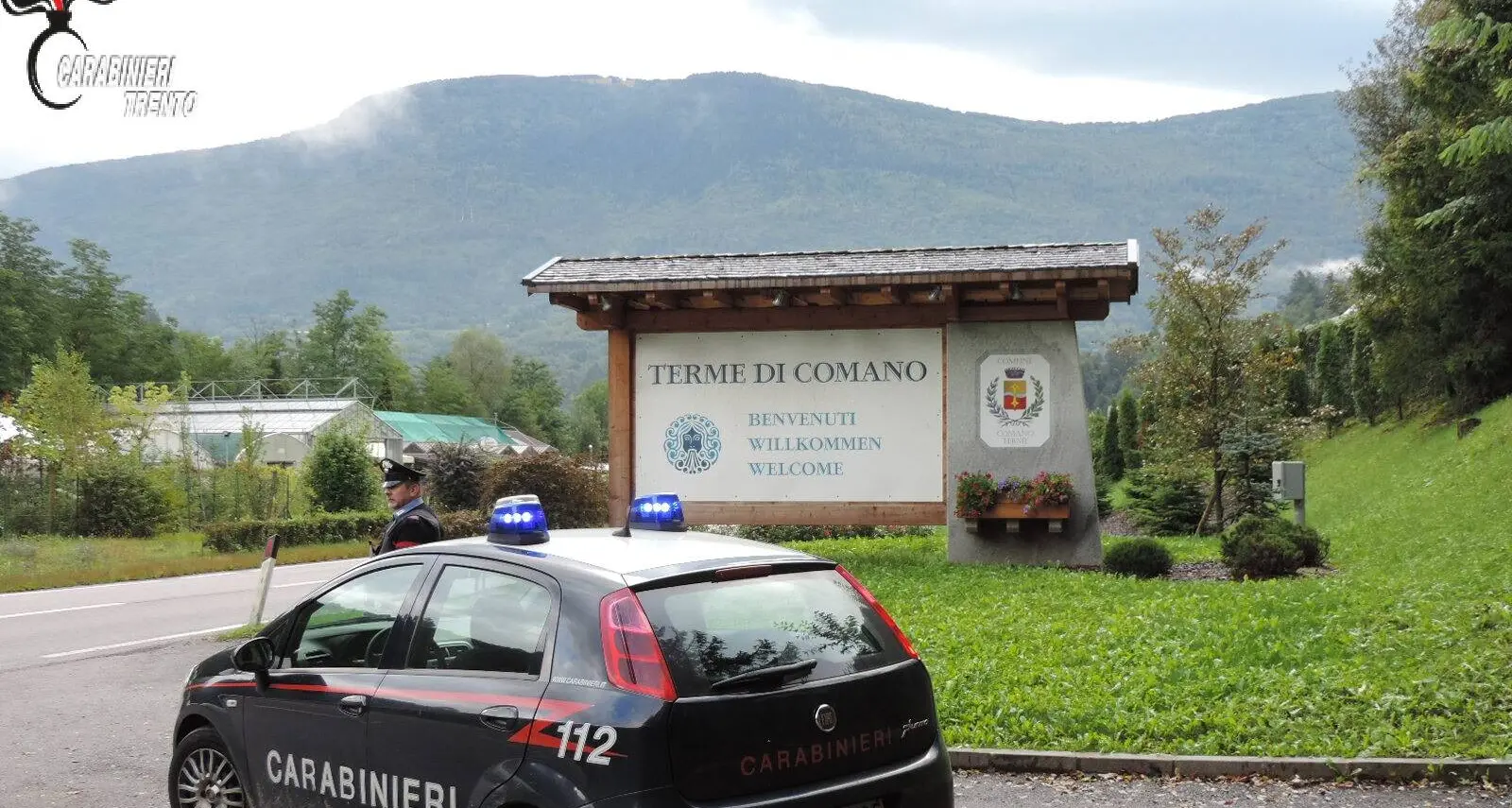 Funghi avvelentati con l'insetticida e pneumatici squarciati: sessantenne denunciato dai carabinieri