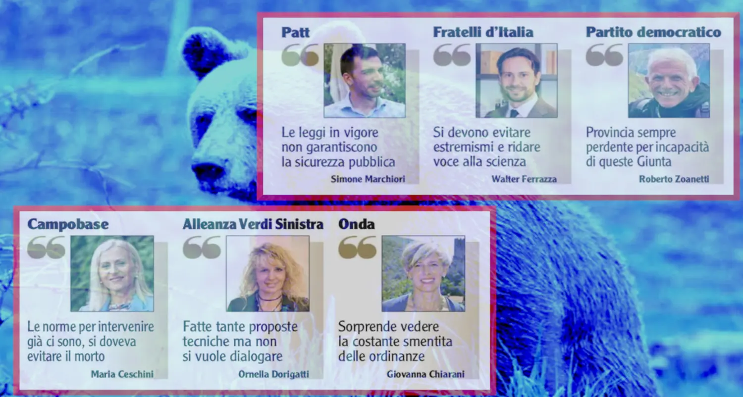 Grandi carnivori, scontro tra i partiti: Fugatti al centro delle critiche, lo accusano di non aver gestito il problema