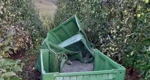 Il piromane ha colpito ancora: rogo nella notte a Cles