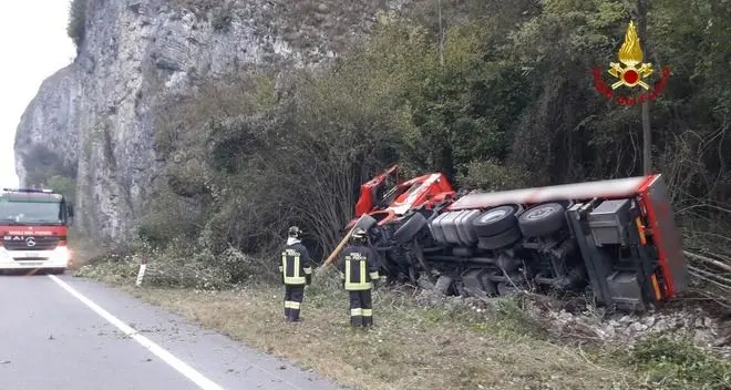 Cervo investito piomba nella cabina di un tir: muore l'autista