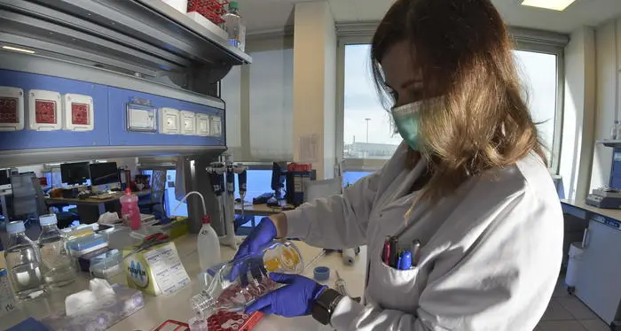 Malattie genetiche rare, Telethon finanzia due progetti di ricerca in Trentino