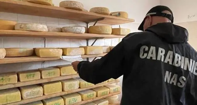Latte crudo, caso Coredo e questione controlli e avvisi ai consumatori: allerta degli esperti
