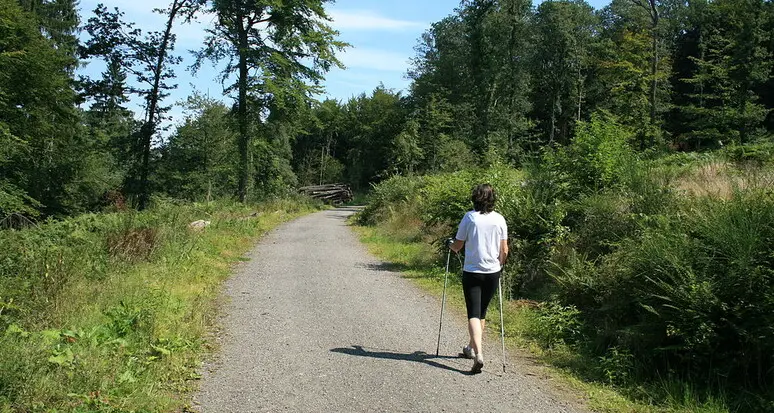 Bondone, ecco 18 mila euro per sistemare tre percorsi di nordic walking