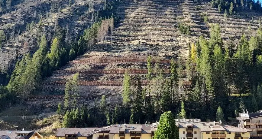 Pampeago, le nuove barriere paramassi e antivalanghe fatte con i larici degli schianti di Vaia